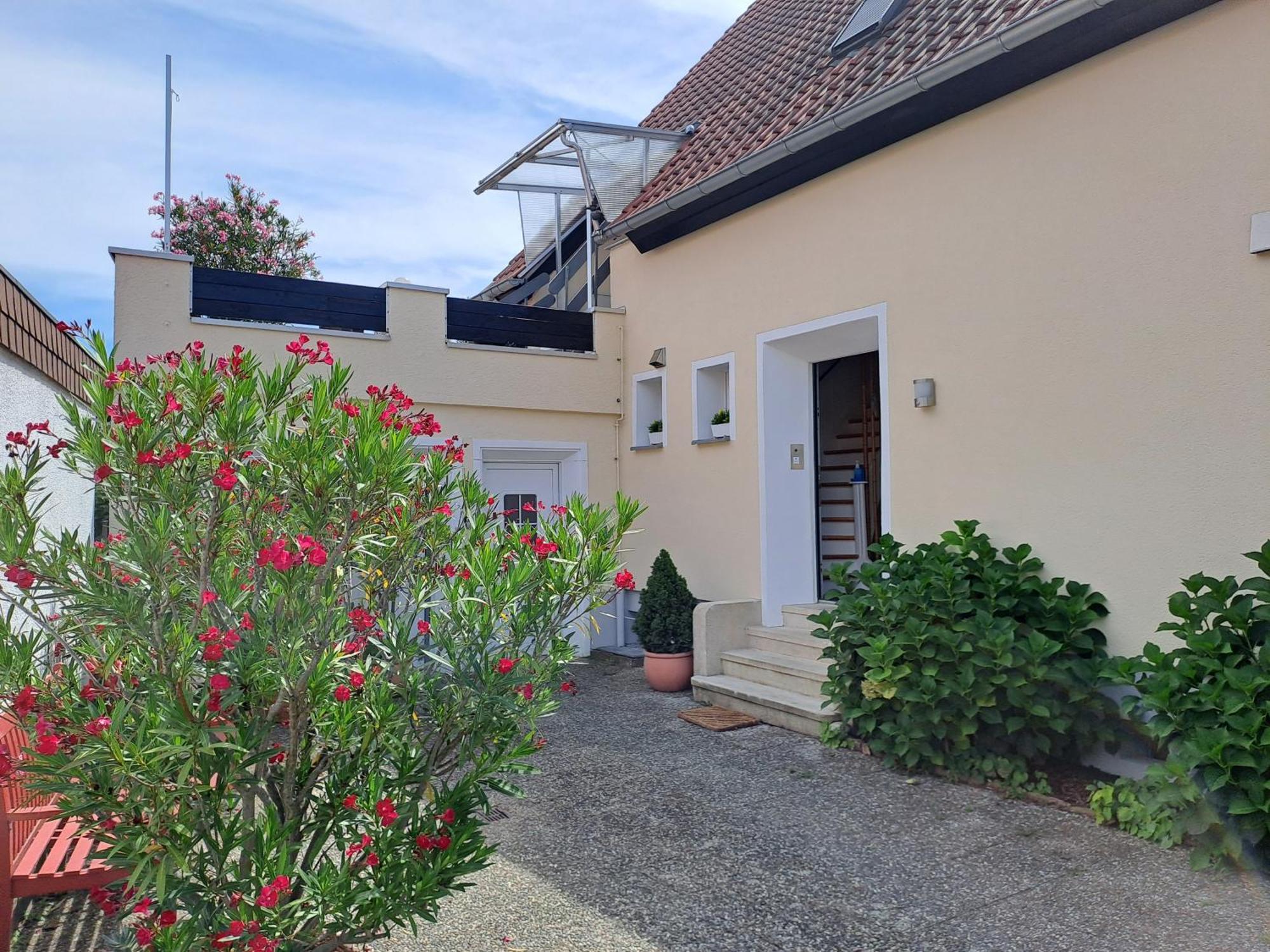 Hortensie Espira Exterior foto