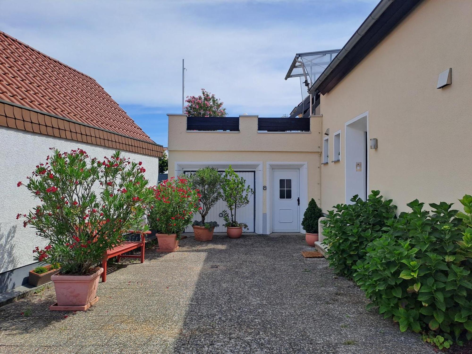 Hortensie Espira Exterior foto